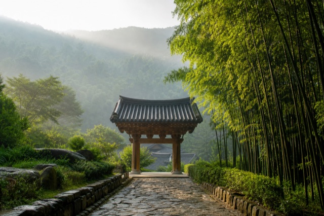도윤사 일주문과 산길